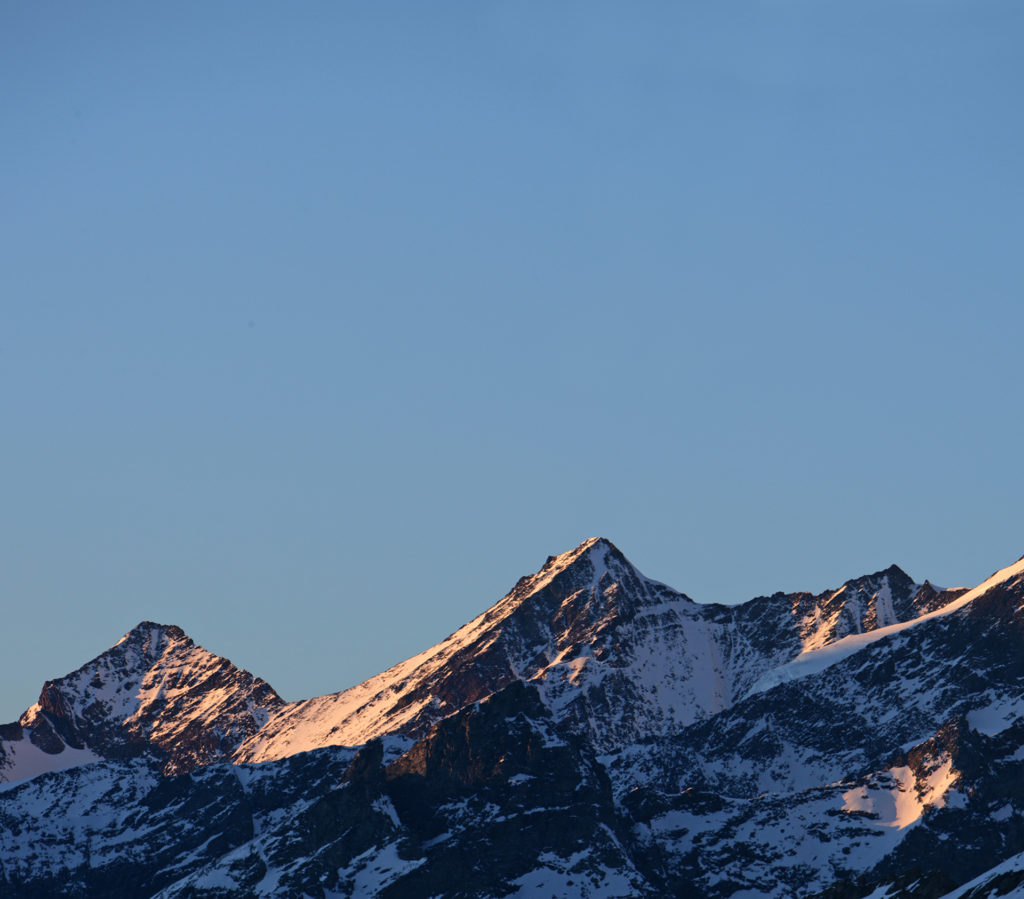 Burgergemeide Zermatt - Organe