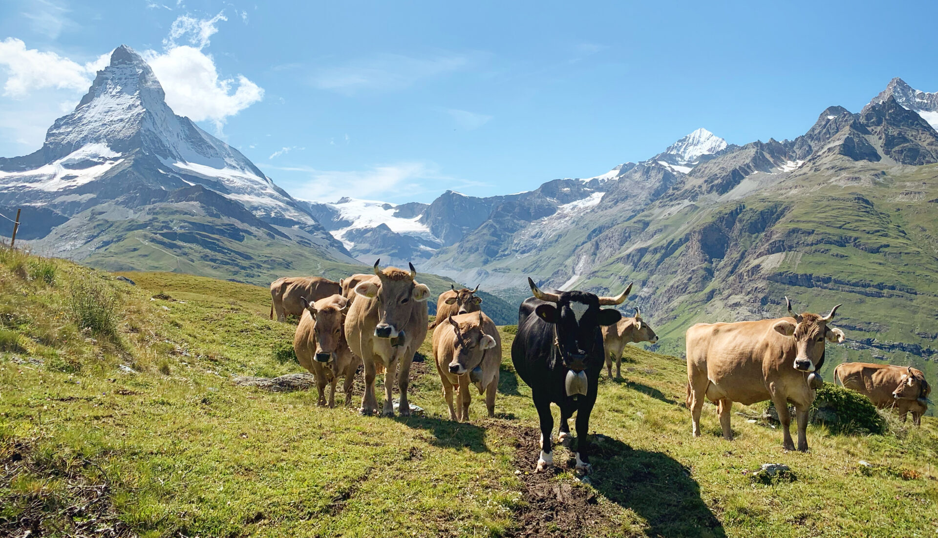 Burgergemeinde Zermatt - Projekte